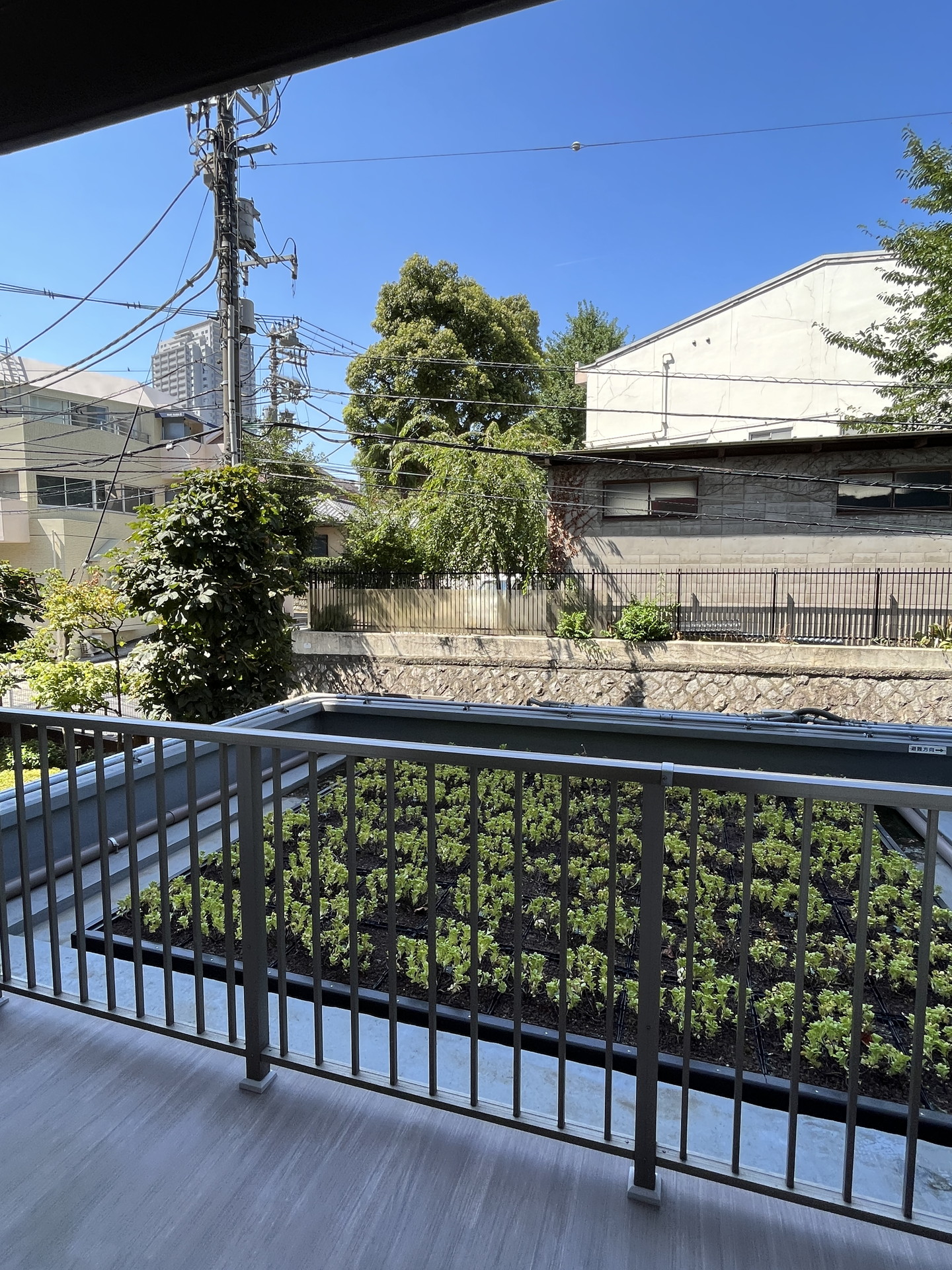 バルコニー