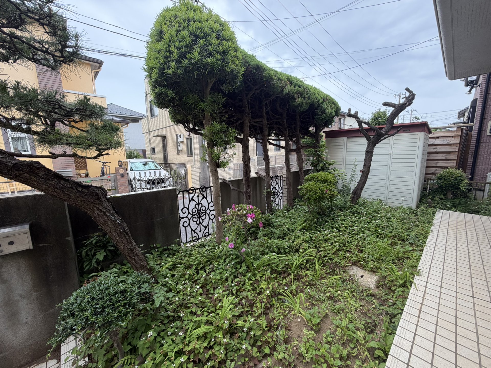 その他